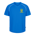 Image for color: royal blue